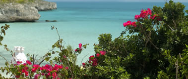 The Cove Eleuthera The Cove Eleuthera